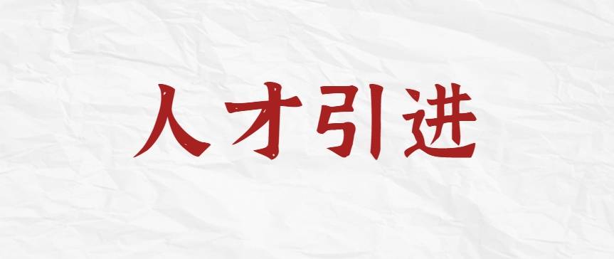 人才引进咨询服务